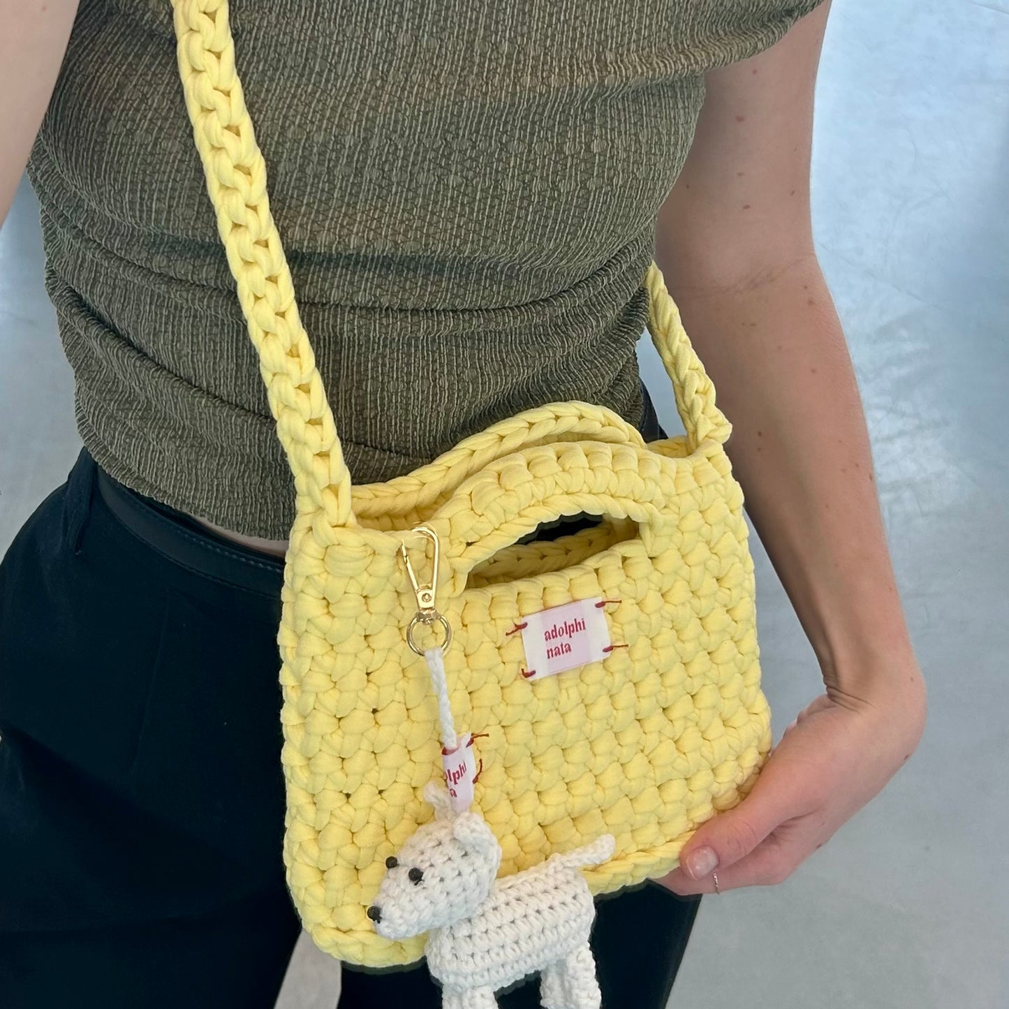 crossbody mini bag